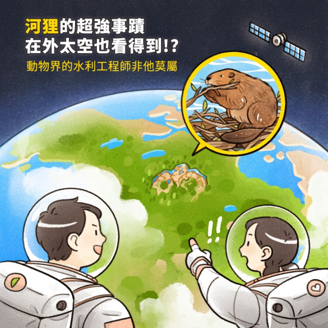 河狸會築水壩，是動物界的水利工程師